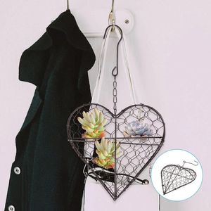 Fleurs décoratives fleur panier suspendu coeur forme arbres nains en pot en casquette classique de mur ferré