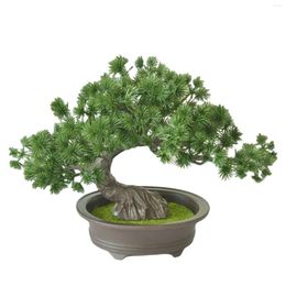 Decoratieve bloemen tuinwerf simulatie planten bureaublad display kunstmatige bonsai boom gastvrije dennenpot ornamenten kantoor cadeau kunsthuis