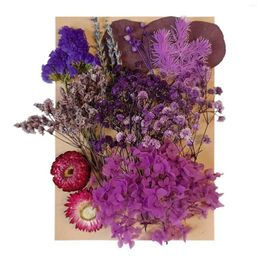 Decoratieve Bloemen Cadeau Eeuwige Home Decor Epoxy Hars DIY Craft Herbruikbare Scrapbooking Kunstbloem Droge Plant Sieraden Maken Nagel