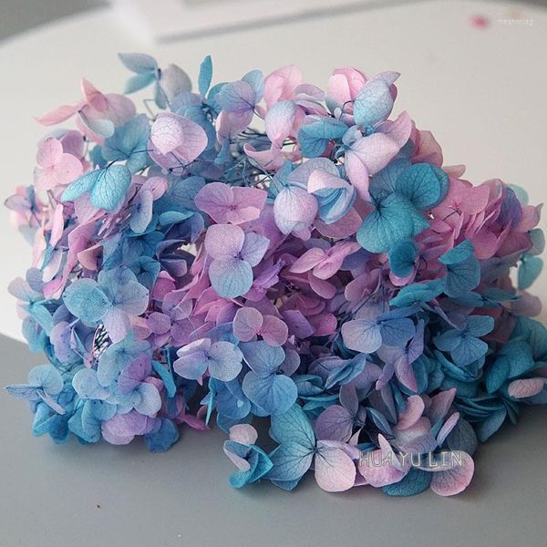 Fleurs décoratives Gradient Couleur Hortensia Préservé Fleur DIY Boucles D'oreilles Et Bougies Parfumées Matériel Pour Gutta Percha Résine Décor À La Maison