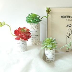 Decoratieve bloemen groen cactus echte aanraking kunstmatige planten sappige planten 14 cm doe -het -zelf tuin feest muur decoratie pography props