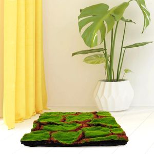 Fleurs décoratives verdure décor mousse artificielle gazon Micro paysage accessoire faux gazon accessoire tapis scène