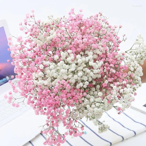 Fleurs décoratives Gypsophila Fleurs séchées Sechees Naturel Babys Breath Preserve DIY Craft Wedding Party Home Boho Back Drop Decor