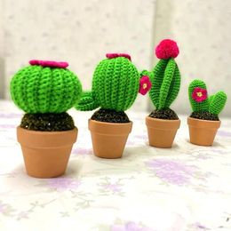 Fleurs décoratives cactus tricot à la main plante en pot au crochet maison fini à la main des plantes succulentes à main