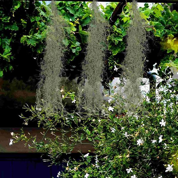 Fleurs décoratives suspendues, vigne simulée, ornement en mousse pour plantes en pot, bonsaï en plastique