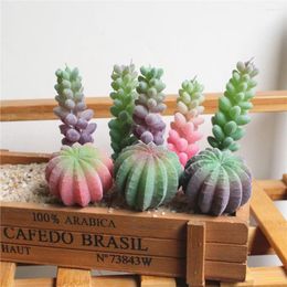 Fleurs décoratives Hauteur de 6 cm de diamètre 45 mm Floot artificiel Cactus plantes plantes plantes pour la décoration de jardin à la maison fausse