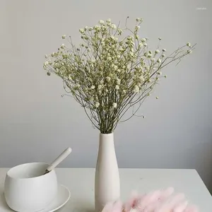 Decoratieve bloemen Hoge kwaliteit Natuurlijke Gypsophila Gedroogd boeket in 12 kleuren Echte knop voor bruiloft Home Decor Factory Direct Sales