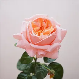 Fleurs décoratives de haute qualité, simulation de Rose Austin hydratante, fournitures de noël, accessoires de décoration pour chambre de saint-valentin, éternelle