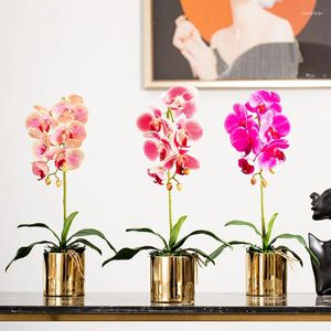 Fleurs décoratives décoration de maison Pu Butterfly Orchid Simulation Potted Restaurant Table à manger Soft Entrance Hall