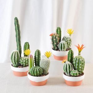 Decoratieve bloemen Home Office Conference Room Desktop Decoratie Simulatie Kunstmatige woestijnplant Cactus met