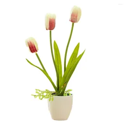 Decorative Flowers Homes Offices Plastic Artificial Potted Plant Specification Site Web Weddings