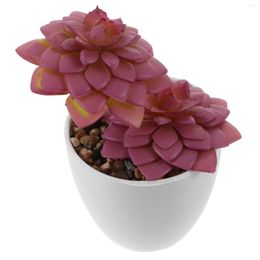 Decoratieve Bloemen Kamerplanten Vetplanten Kleine Kunstmatige Nep Patio Bonsai Ingemaakte Mini Plastic Potten