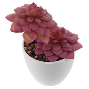 Fleurs décoratives plantes d'intérieur plantes succulentes petit faux patio artificiel bonsaï en pot Mini Pots en plastique