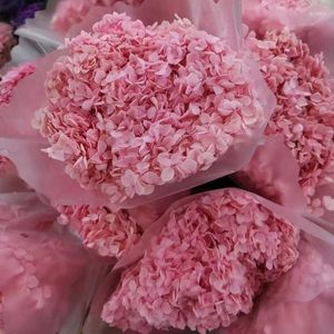 Decoratieve bloemen Hydrangea Gedroogde bloem Natuurlijke plant bewaard gebleven nieuwe huwelijksgeschenken voor Gastenschristmas Decorations Home 2023 Pampas