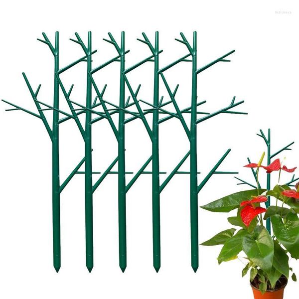Fleurs décoratives plante d'intérieur treillis filet maille Support escalade hydroponique Net a-frame grandir pour plantes légumes Fruits