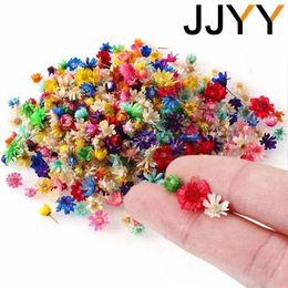 Decoratieve bloemen jjyy 1 pack /100 pc's multicolor mini gedroogd diy kunst ambachtelijke epoxy hars kaarsen make juwelen thuisfeest