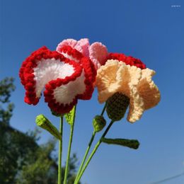 Fleurs décoratives tricotées fleur d'oeillet fait à la main laine crochet à la main artificielle avec sac d'emballage tressage décor à la maison