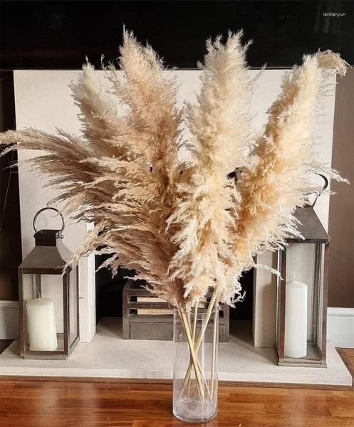 Grandes fleurs décoratives Beige Pampas, esthétique Boho, décoration de maison, herbe naturelle séchée, pour mariage moelleux de 80 à 120cm de haut