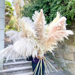 Decoratieve bloemen groot pampas gras 1-1.2m super pluizig natuurlijk gedroogd boeket decor beige kleur land bruiloft decoratie cadeau