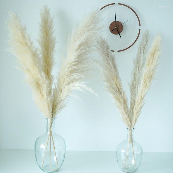 Grandes fleurs décoratives en herbe des Pampas, décorations de noël séchées pour la maison, centres de Table de mariage Boho