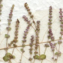 Fleurs décoratives de lavande séchées, plantes artificielles pressées en gaufrage pour bougie, résine époxy, fabrication de bijoux d'art, bricolage