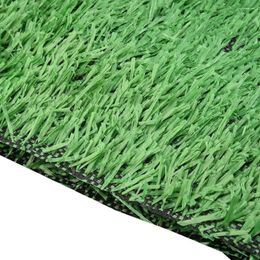 Decoratieve bloemen Lawn Artificial Grass Mat 200 200cm PP PE 2 cm dikte tuinieren rekwisieten Kindergarten speeltuin Micro -landschapsarchitectuur