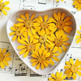 Flores decorativas Lychee Life 12 Uds. Crisantemo emperador en relieve seco para fiesta de boda joyería portalámparas velas decorar