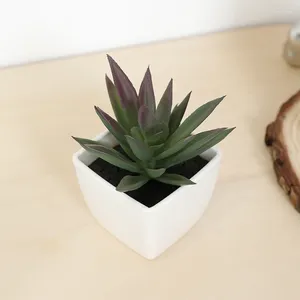 Fleurs décoratives mini artificiel succulent fée tasse petite plante en pot plante en plastique blanc vase de bureau