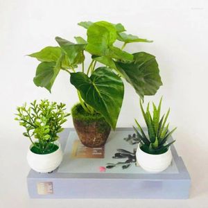 Decoratieve Bloemen Mini Groen En Milieuvriendelijk Ingemaakte Kleine Planten Voor Plank Binnen Bestverkopende Veilig Duurzaam
