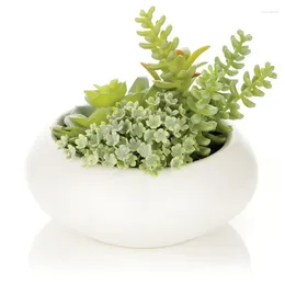 Decoratieve bloemen gemengde kunstmatige succulente regeling in Cement Planter Pot groene muur Flores Secas Hawaiiaanse feestdecoratie