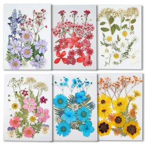 Fleurs décoratives mélangées séchées pressées fleur feuille plante herbier pour bijoux signet Scrapbooking coque de téléphone bougie ArtCraft bricolage