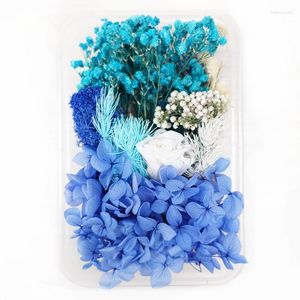 Decoratieve bloemen gemengd natuurlijk gedroogd materiaal DIY kunst bloemendecors collectie geschenk ambachtelijke woondecoratie geperst