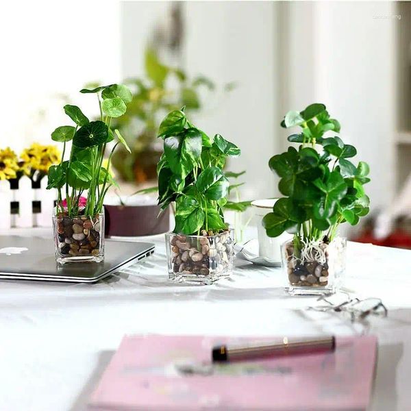 Fleurs décoratives feuilles vertes artificielles modernes mini plantes fausses en pot en verre