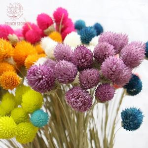 Fleurs décoratives Natural Colorful Small Frailberry Frails séché de Noël Plantes artificielles Bouquet Bouquet Party PO accessoire