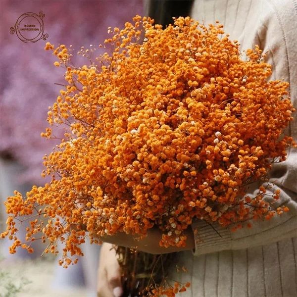 Flores decorativas Flor seca natural Naranja Aliento de bebé Gypsophila Suministros de boda Ramos de novia Boho Decoración del hogar Decoración de mesa