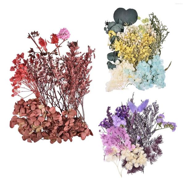 Flores decorativas secas naturales para resina prensada DIY hierbas secas plantas decoración adecuada hacer velas perfumadas y tarjetas de felicitación