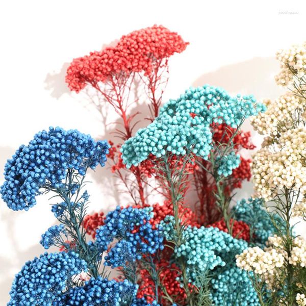 Fleurs décoratives naturelles séchées fraîches conservées, véritable Bouquet de fleurs de riz éternelles, décoration nordique pour la maison, décoration de Table de mariage