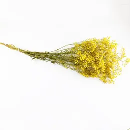 Bouquet de fleurs décoratives Gypsophila séchées naturelles, Aeonium Vibrant, plein d'étoiles pour la décoration de la saint-valentin