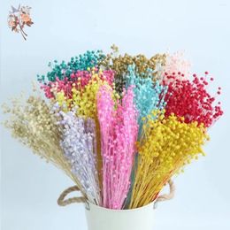 Fleurs décoratives Bouquets d'herbe de lin séché naturel préservé de vraies plantes pour la décoration de la maison matériel de bricolage décoration de mariage résine époxy