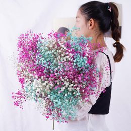 Fleurs décoratives naturelles séchées conservées Gypsophila Paniculata Babys Breath Bouquets Cadeau pour la décoration de mariage Décorations Vaso Alto