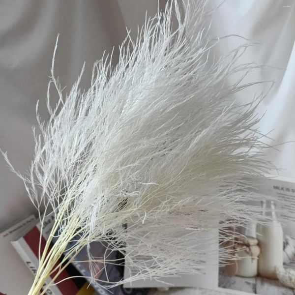 Fleurs décoratives Natural Eternal Feather Grass Bouquet Artificial Pampas Decor Decor Pompous Arrangement Wedding Deco