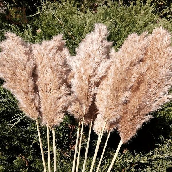 Flores decorativas Pampas esponjosas naturales, ramos de decoración bohemios secos, mesa de boda, suministros para fiestas, decoración del hogar de Navidad