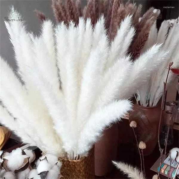 Flores decorativas Pampas esponjosas naturales, ramo de caña pequeño blanco seco para boda, decoración del hogar, fiesta, otoño, Halloween, decoración navideña