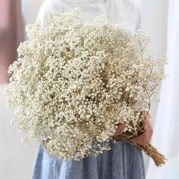 Flores decorativas Gypsophila Paniculata fresca natural, ramos de flores secas y conservadas para el aliento del bebé, regalo para decoración de bodas, decoración del hogar