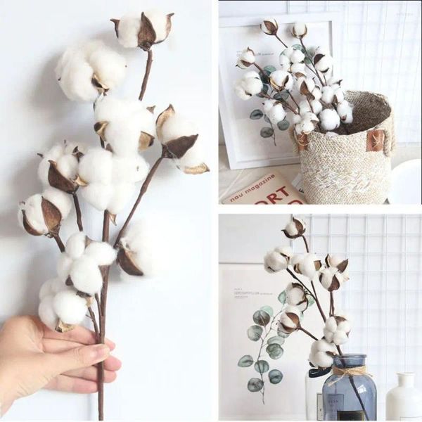 Fleurs décoratives naturelles faites à la main 10 têtes de branche florale Creative Artificial Cotton tige simple fleur séchée réaliste