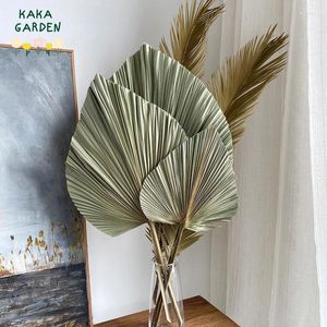Fleurs décoratives feuilles de palmier naturel Boho Home Decor Sécrotage à séchée pour la décoration de fête de mariage d'automne Accessoires muraux colorés
