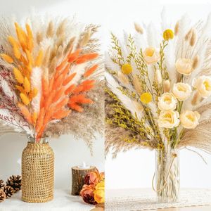 Decoratieve bloemen Natuurlijk Pampasgras Boeket Decor | Langdurig gedroogd voor Boho Home Wedding Fall Farmhouse Decorations