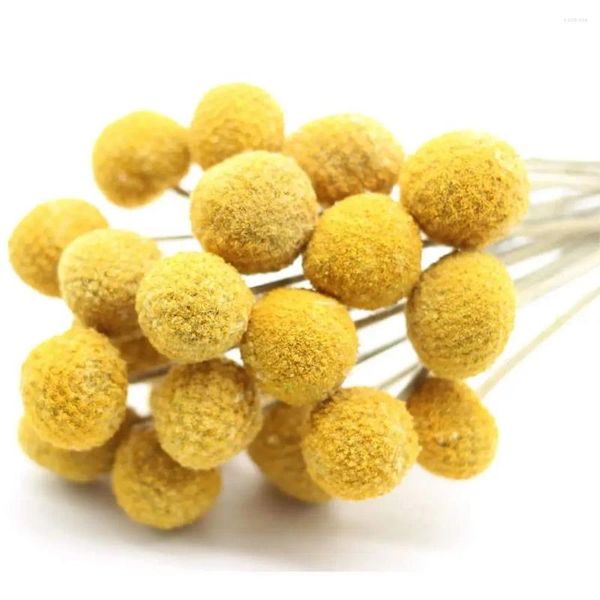 Fleurs décoratives Natural Presvel Yellow Billy Bouton Boules Plant bouquet séché pour le mariage décor à la maison Flore Flores Arrangement