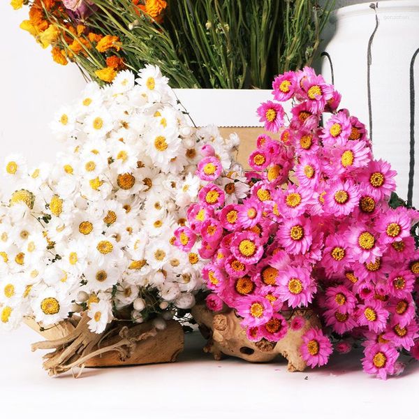 Flores decorativas Natural Real Bouquet Rudan Birds Pequeño Helichrysum Daisy Arreglo Florero Habitación Hogar Arte Decoración Mariage Día de San Valentín