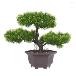 Decoratieve bloemen natuurlijke simulatie bonsai charmante realistische plastic nep kunstmatige dennennaalden cipres potplant op grote schaal gebruikt